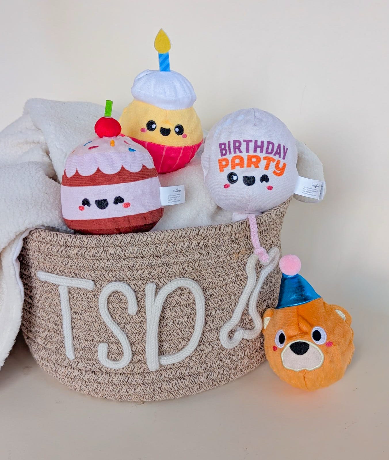 Hugsmart Birthday Ball Toys