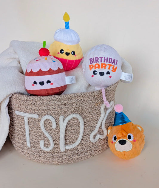 Hugsmart Birthday Ball Toys