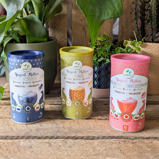 Pawfect Yogurt Melties | Blueberry, Pineapple or Strawberry