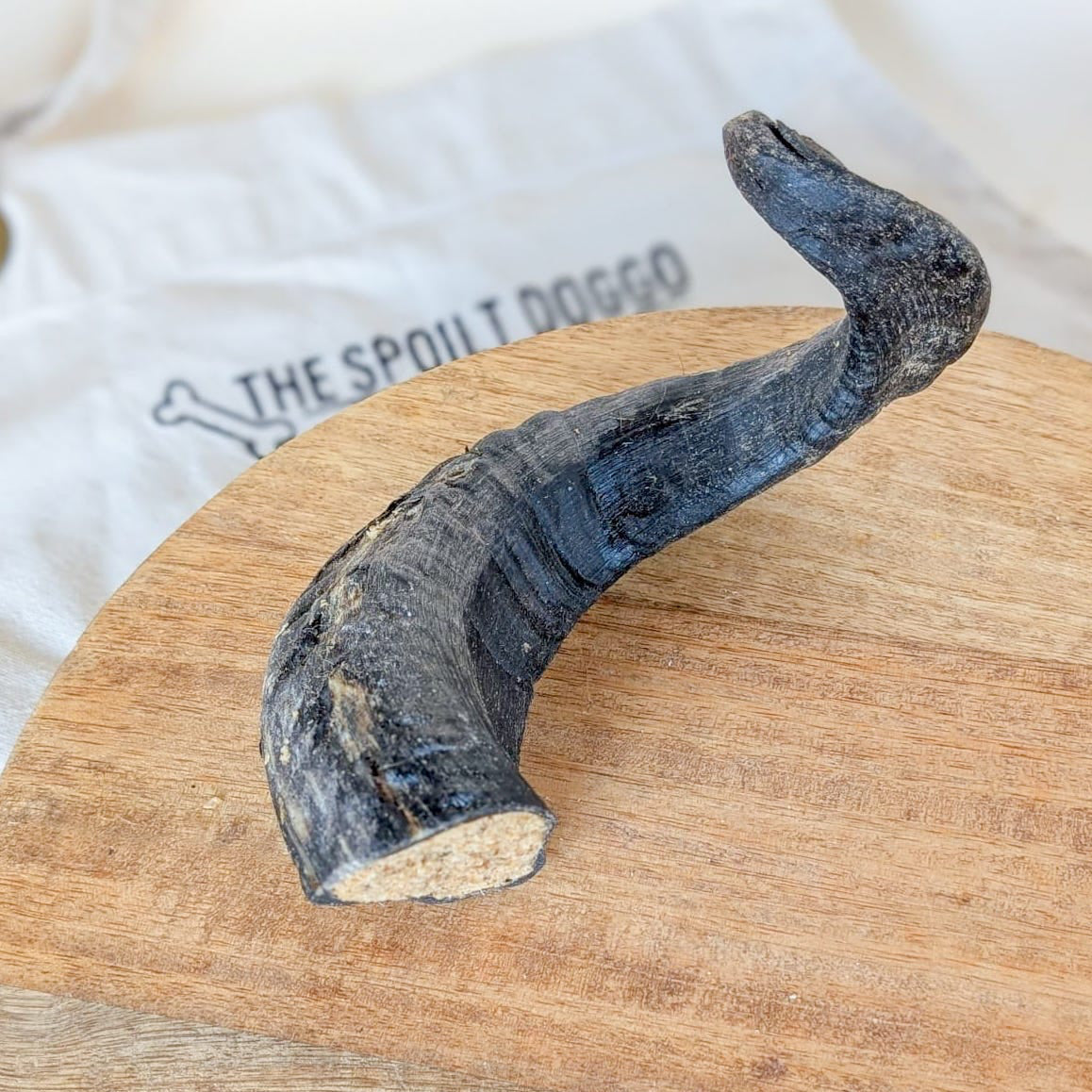 Collagen Filled Lamb Horn | 15% Off Tasty Tuesday (Beanie's Choice)