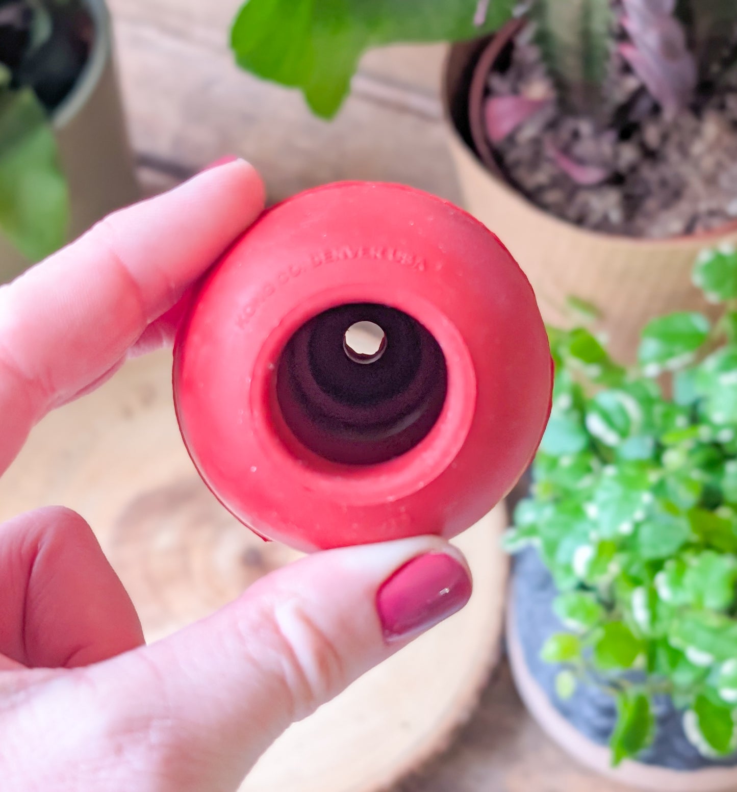 KONG | Classic Red