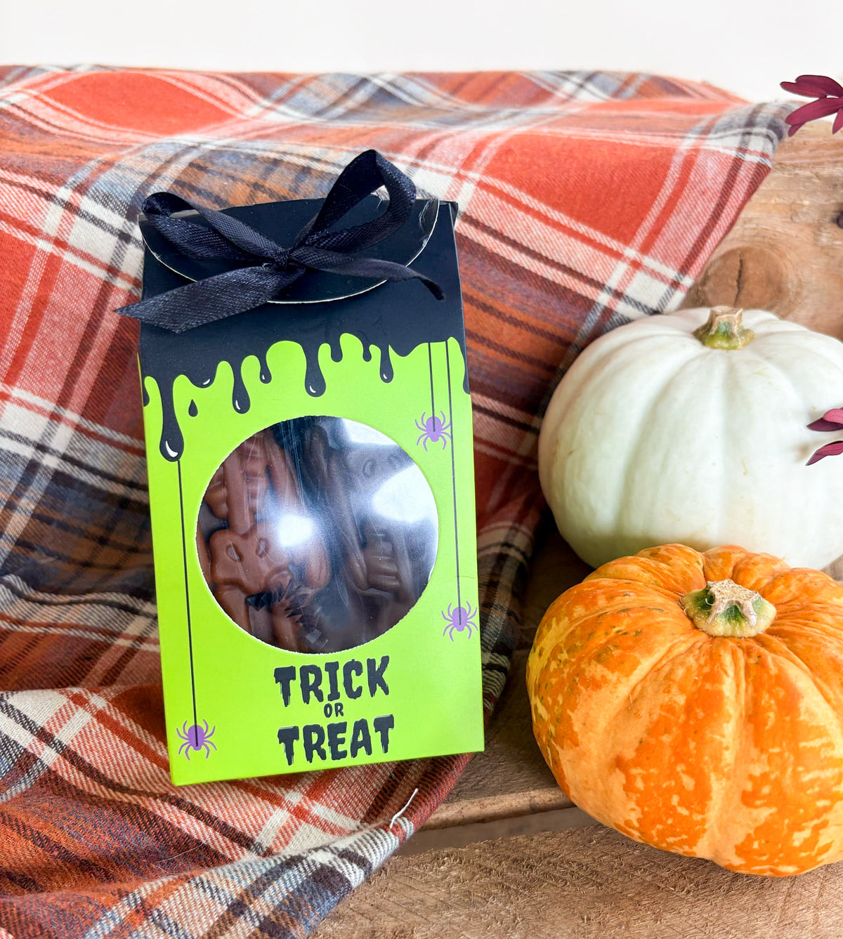 Creepy Frankenstein's House Gift Box Filled With Chicken & Pumpkin Skeleton Chews 🦴🎃