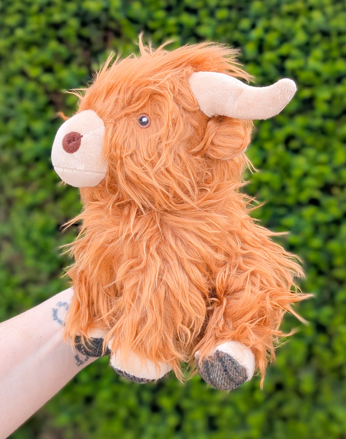 Ancol Heritage Collection | Fergus Highland Cow