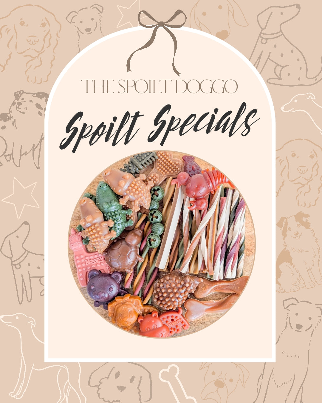 ✨ SPOILT SPECIALS ✨