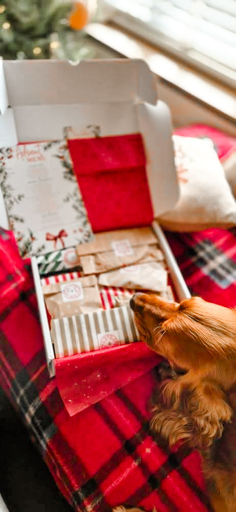 The Spoilt Doggo 🎁 Advent Calendar 2025 🎁