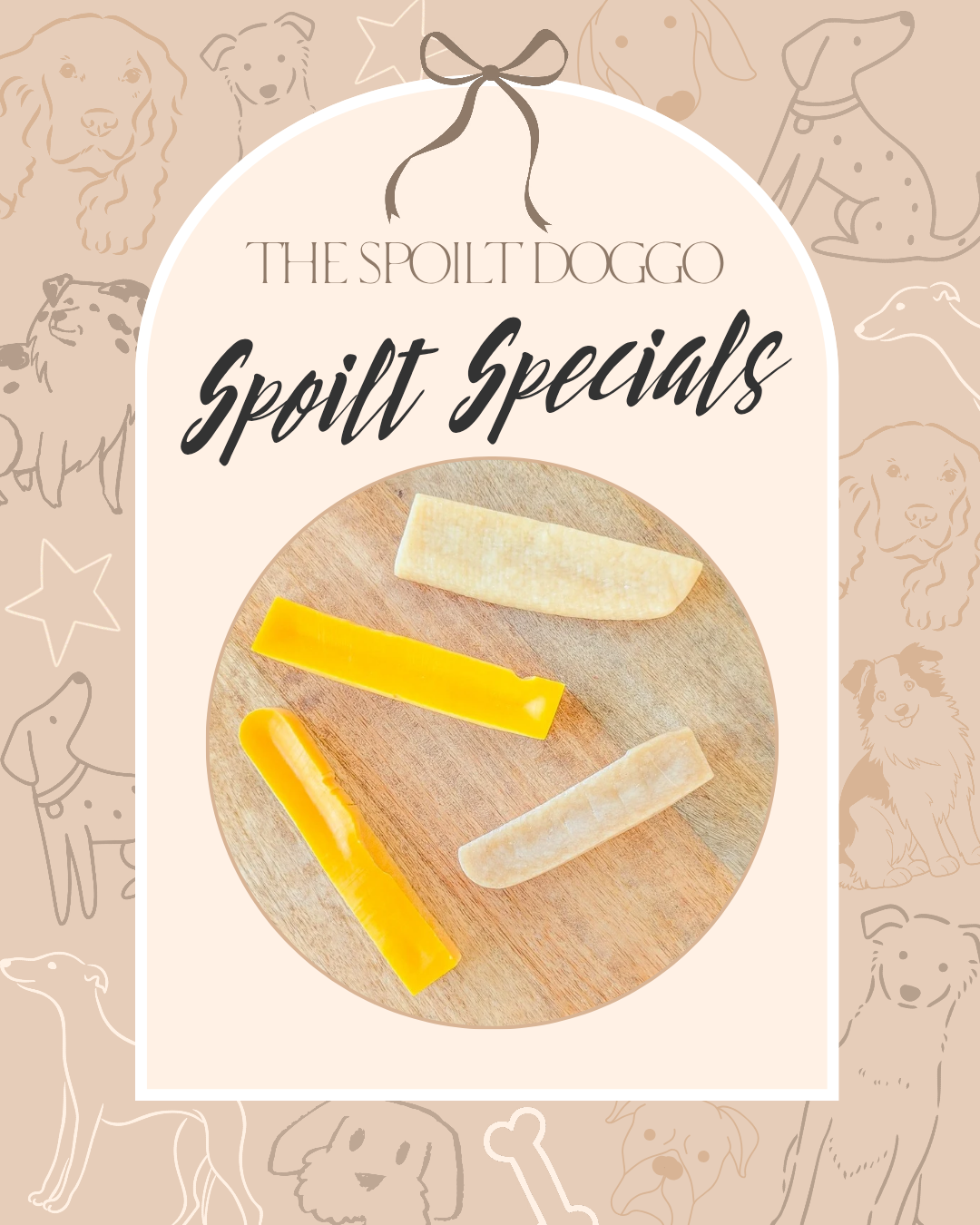 🐾✨ SPOILT SPECIALS ✨🐾
