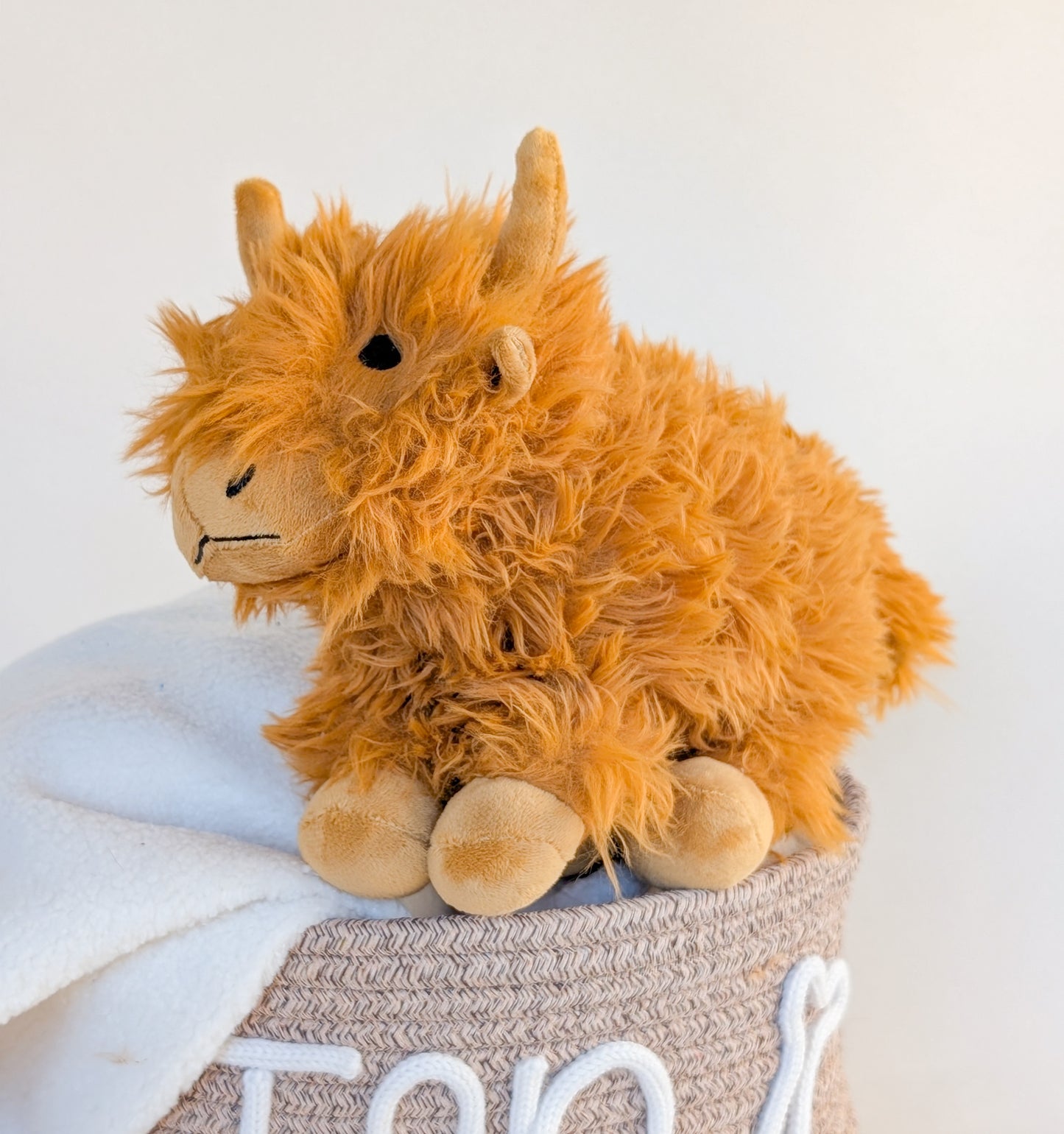 The Highland Coo Crew