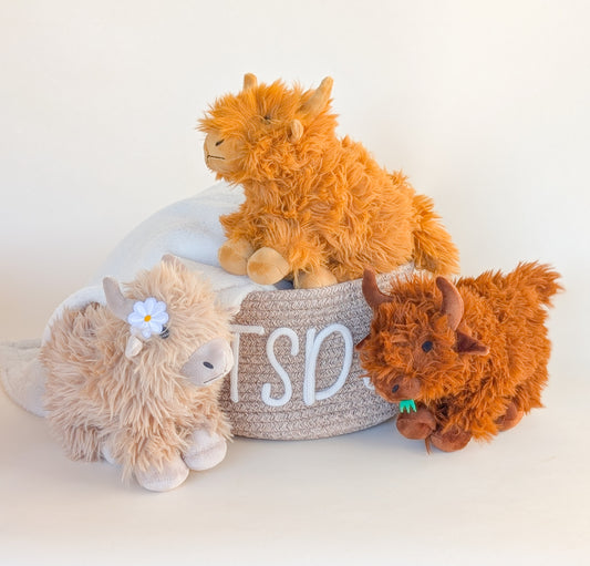 The Highland Coo Crew