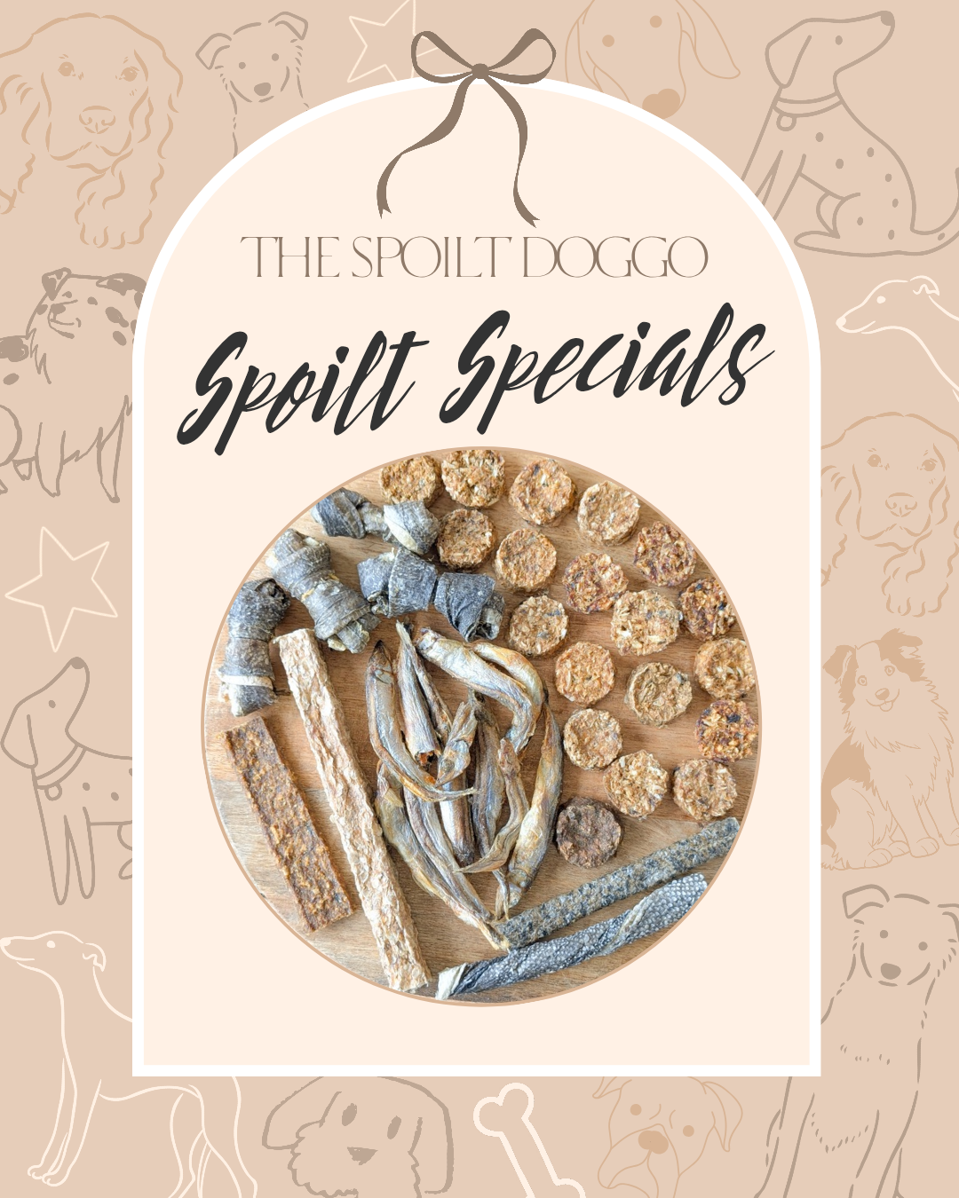 🐾✨ SPOILT SPECIALS ✨🐾