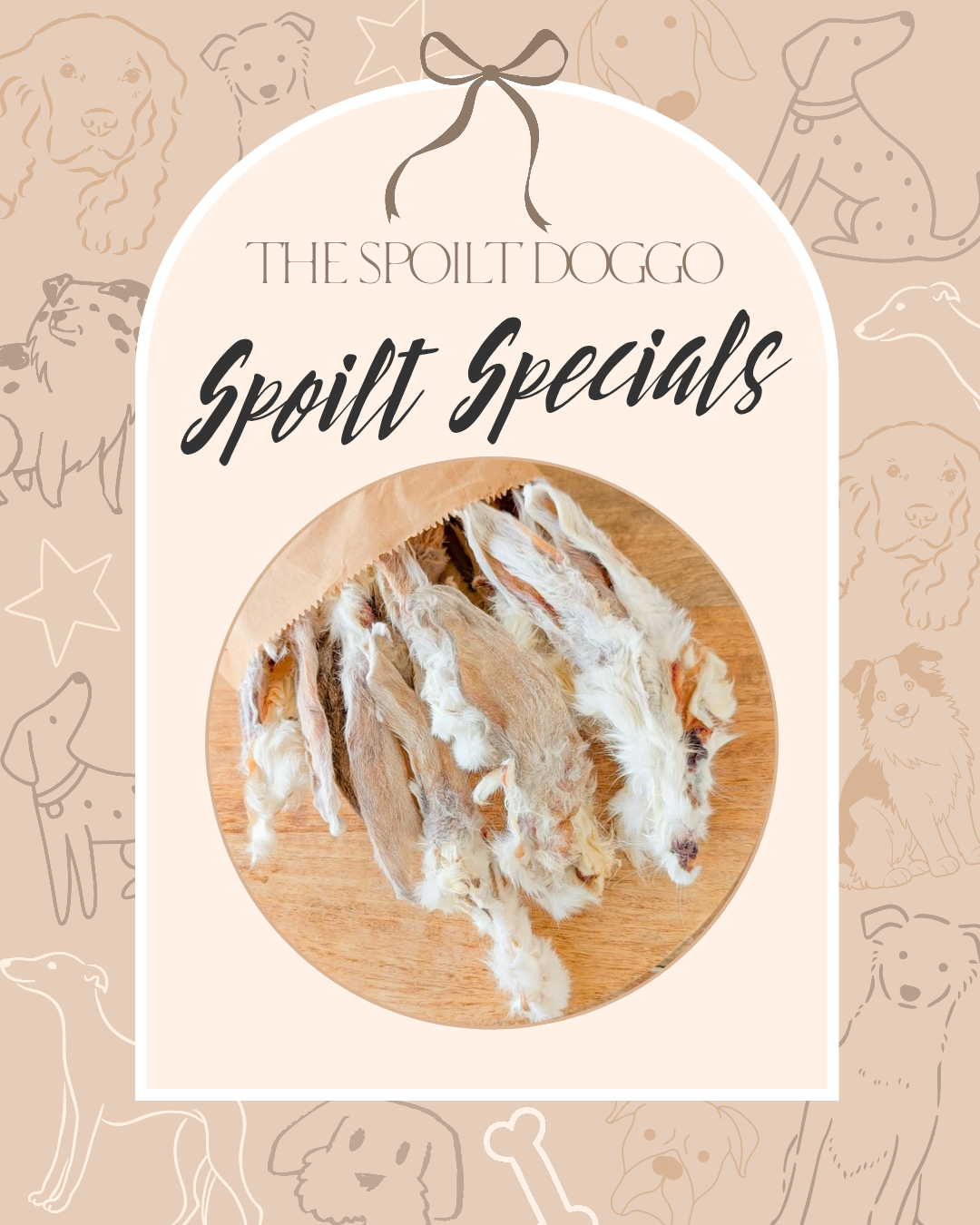 🐾✨ SPOILT SPECIALS ✨🐾