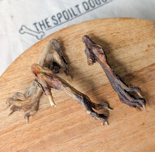 Rabbit Foot