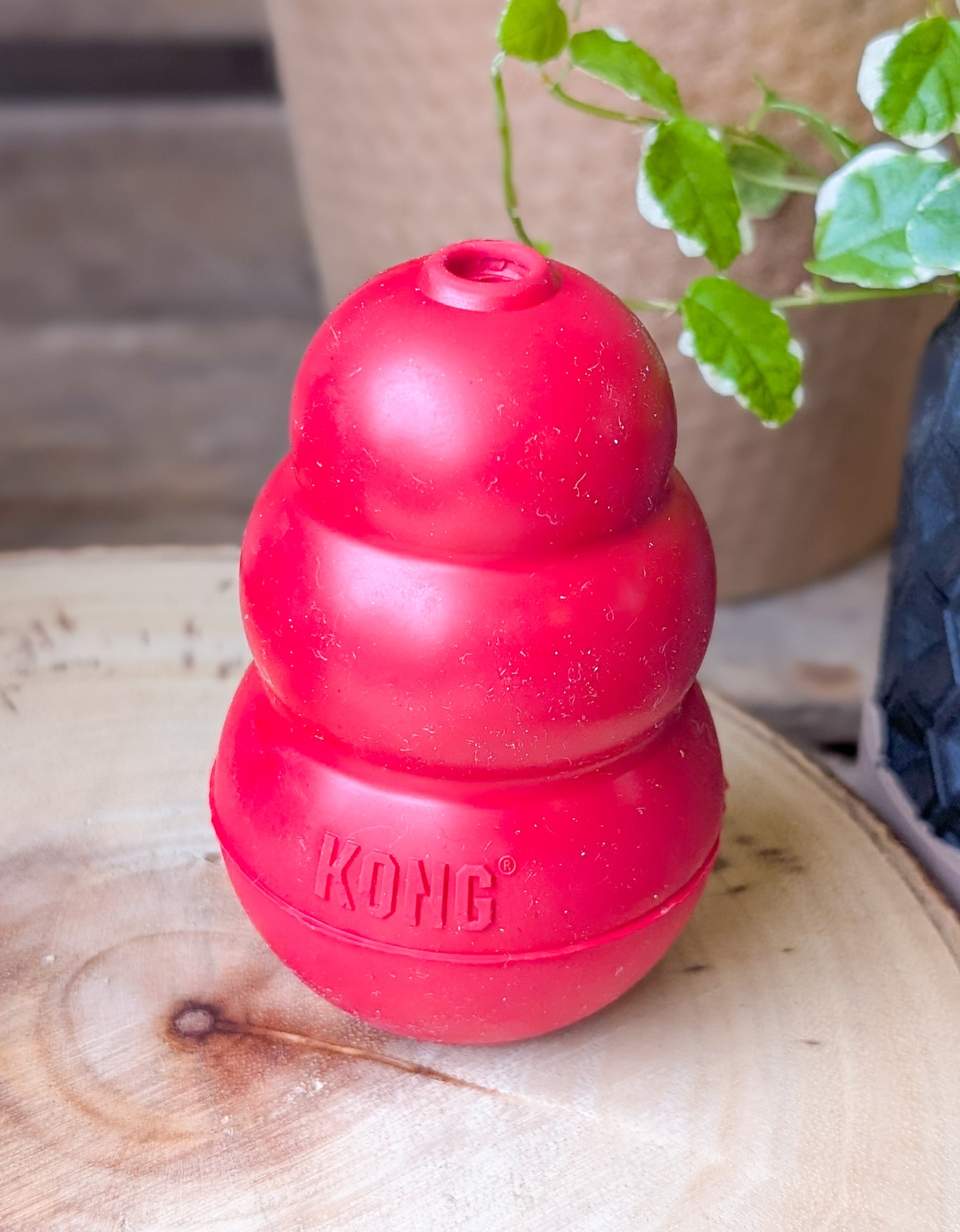 KONG | Classic Red