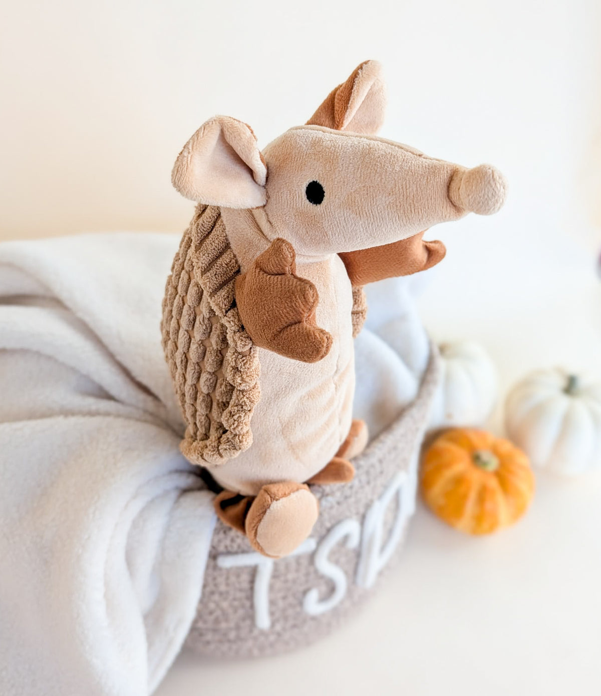 "Arlo the Armadillo" Plush Toy