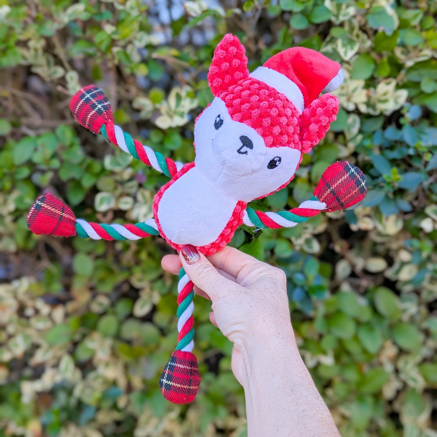 Great&Small Christmas | Little Fox with Rope