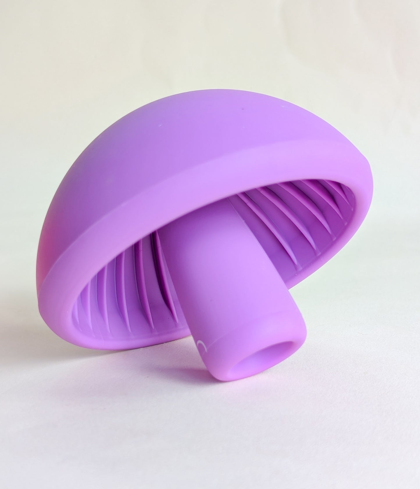 Mushroom Enrichment Toy
