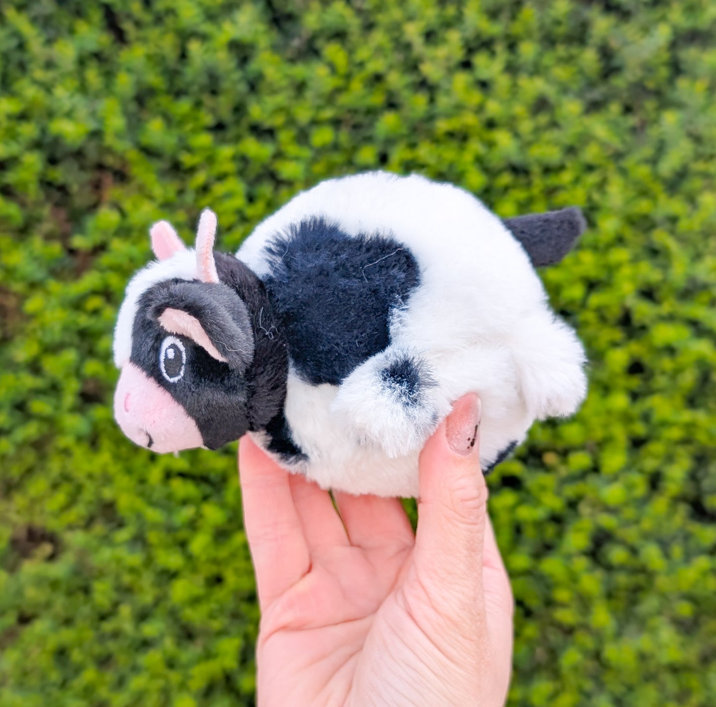 Spring Farm | Bouncy Cow