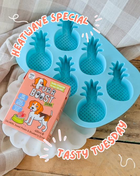 Tasty Tuesday: Heatwave Special | 🍍 Pineapple Mould & Furr Boost | RRP £7.50