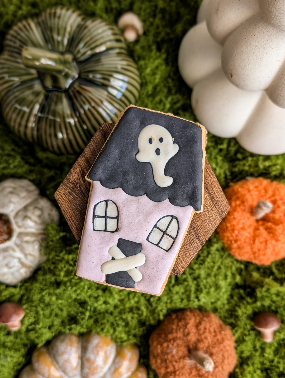 Whiskers & Wishes Bewitching Biscuits