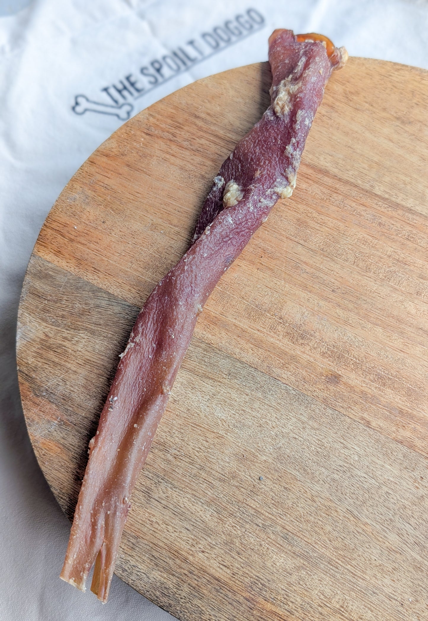 Beef Aorta
