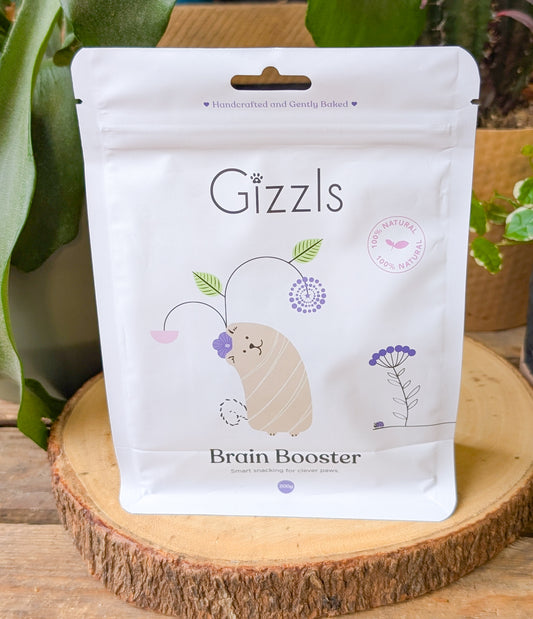 Gizzls Brain Booster Dog Treats | Peanut Butter & Blueberry *NEW BIGGER SIZE