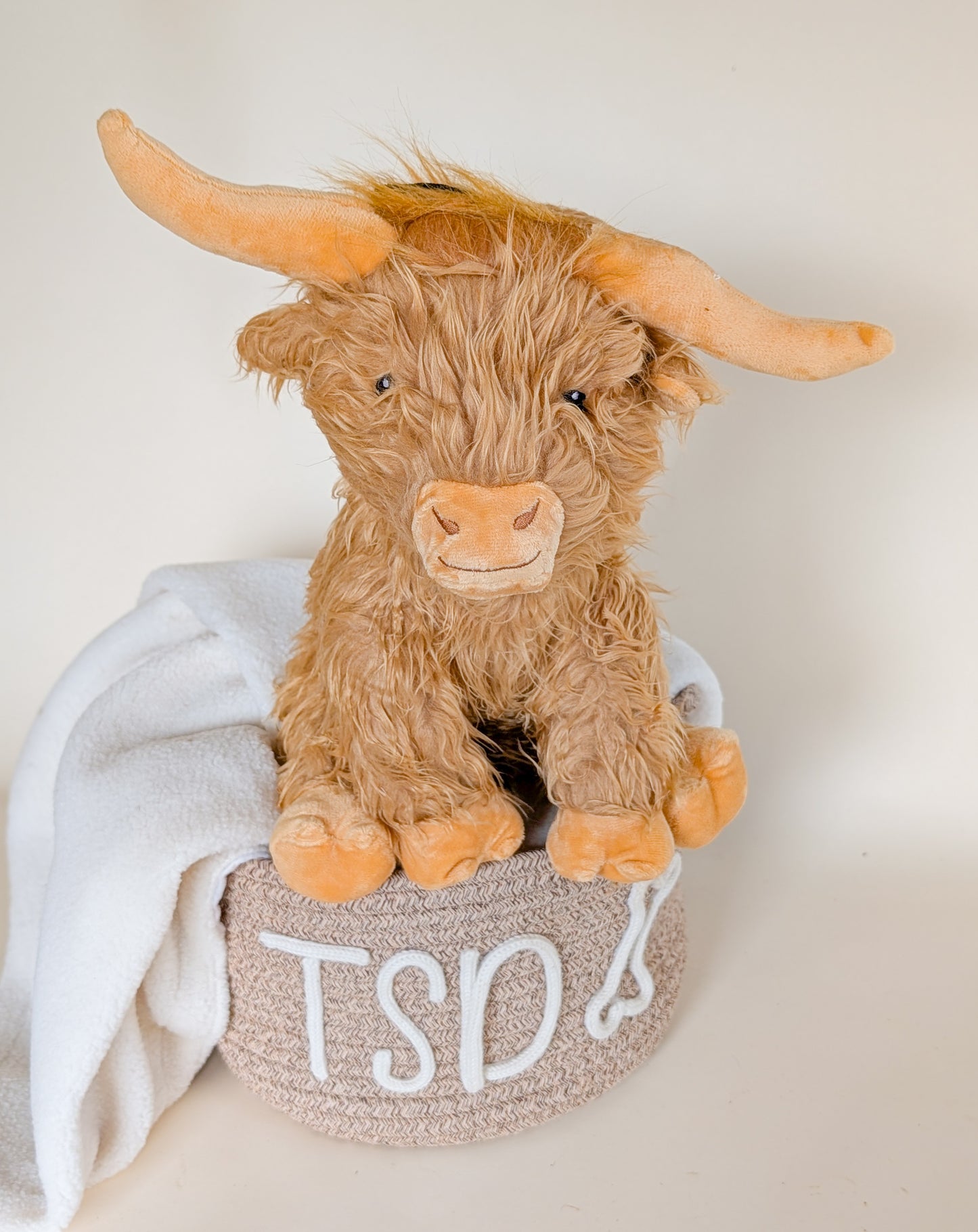 Jumbo Highland Cow