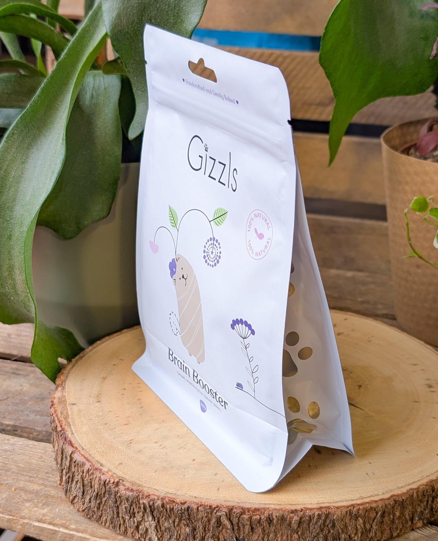 Gizzls Brain Booster Dog Treats | Peanut Butter & Blueberry *NEW BIGGER SIZE