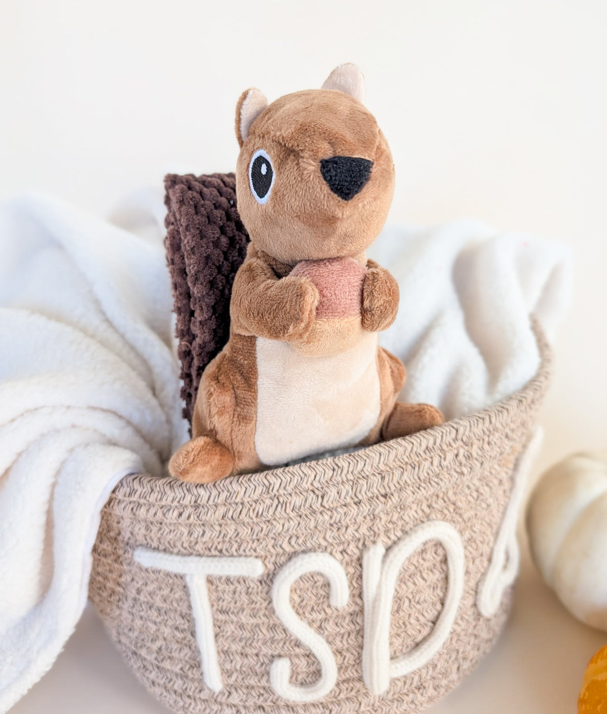 "Squirrel Away" Snuffle Toy