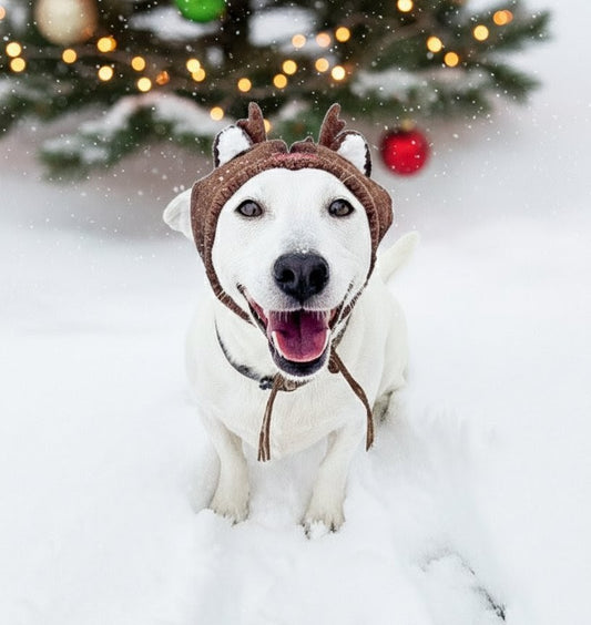 The Worthy Dog | Reindeer Knit Hat