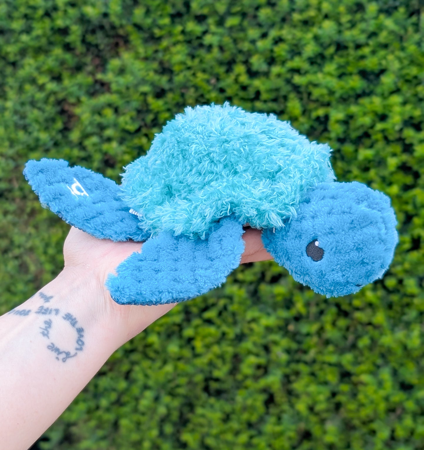 Little Doggo | Tallulah Turtle