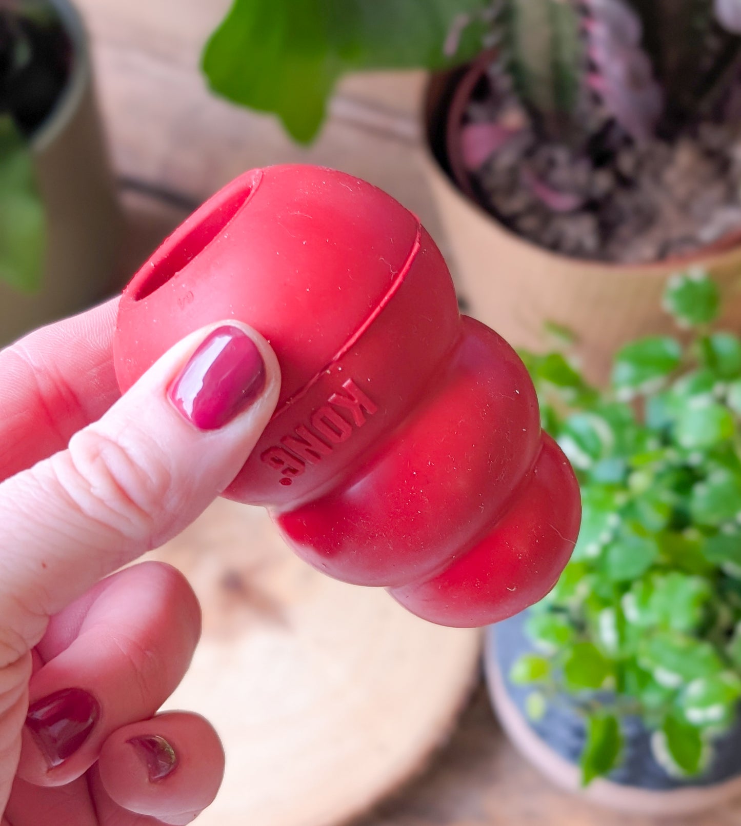 KONG | Classic Red