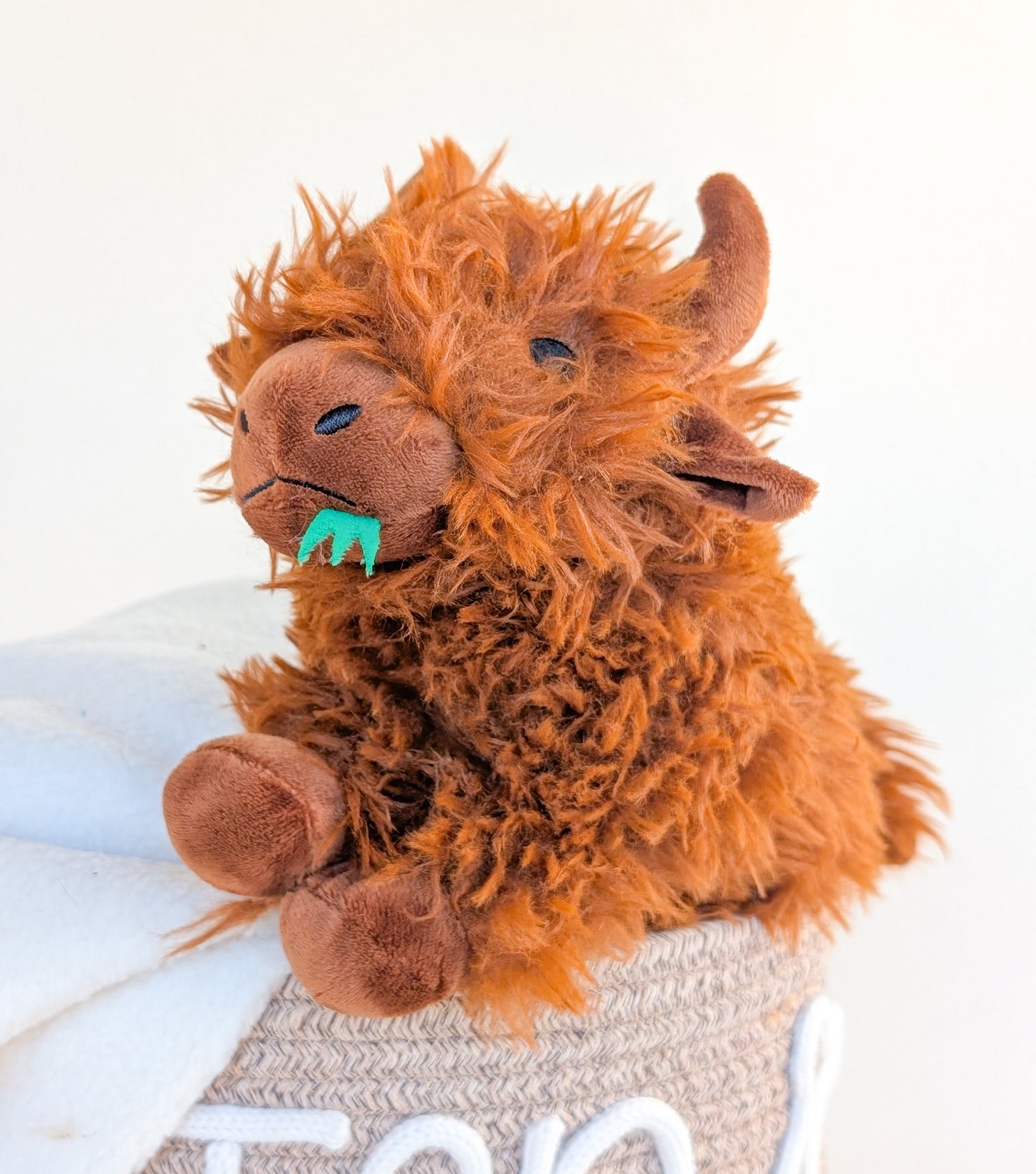 The Highland Coo Crew