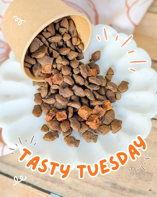 Tasty Tuesday: Fish4Dogs Puppy Pot | Worth £3.40