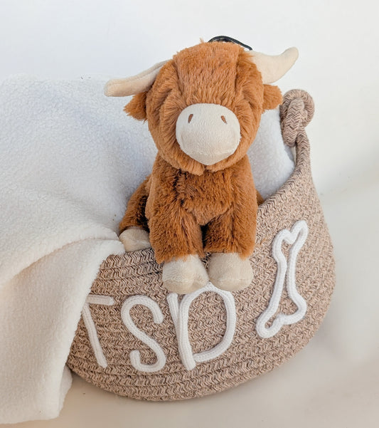Little Doggo | Highland Cow
