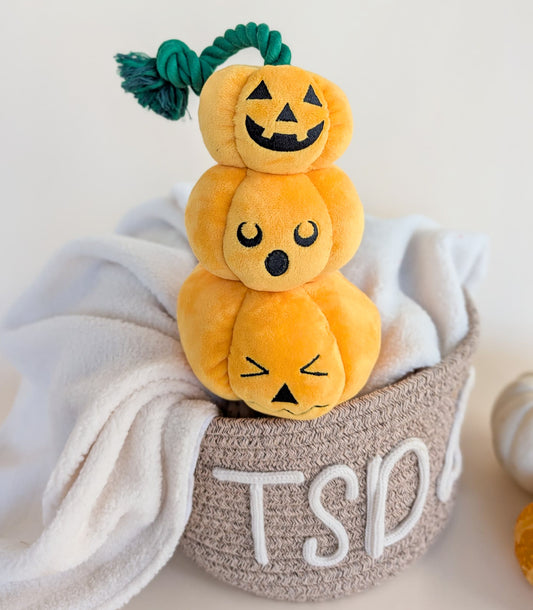 “Pumpkin Pile-Up” Plush & Rope Toy