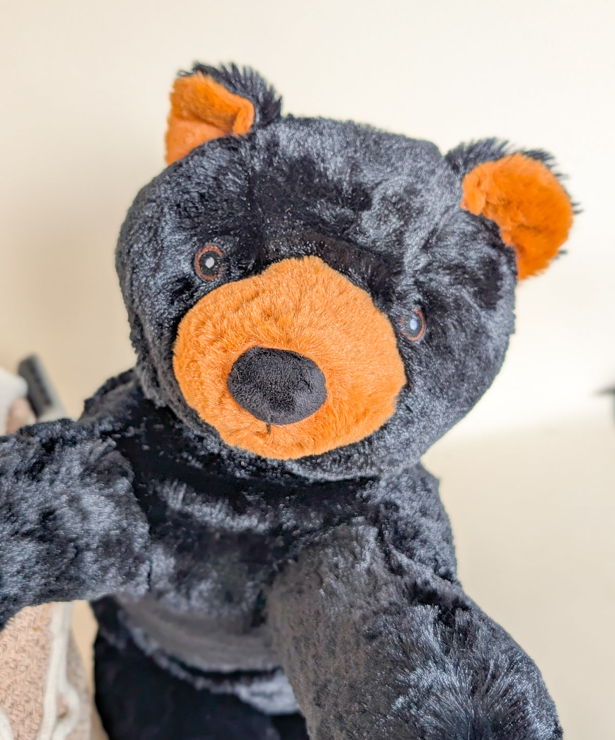 Jumbo Black Bear
