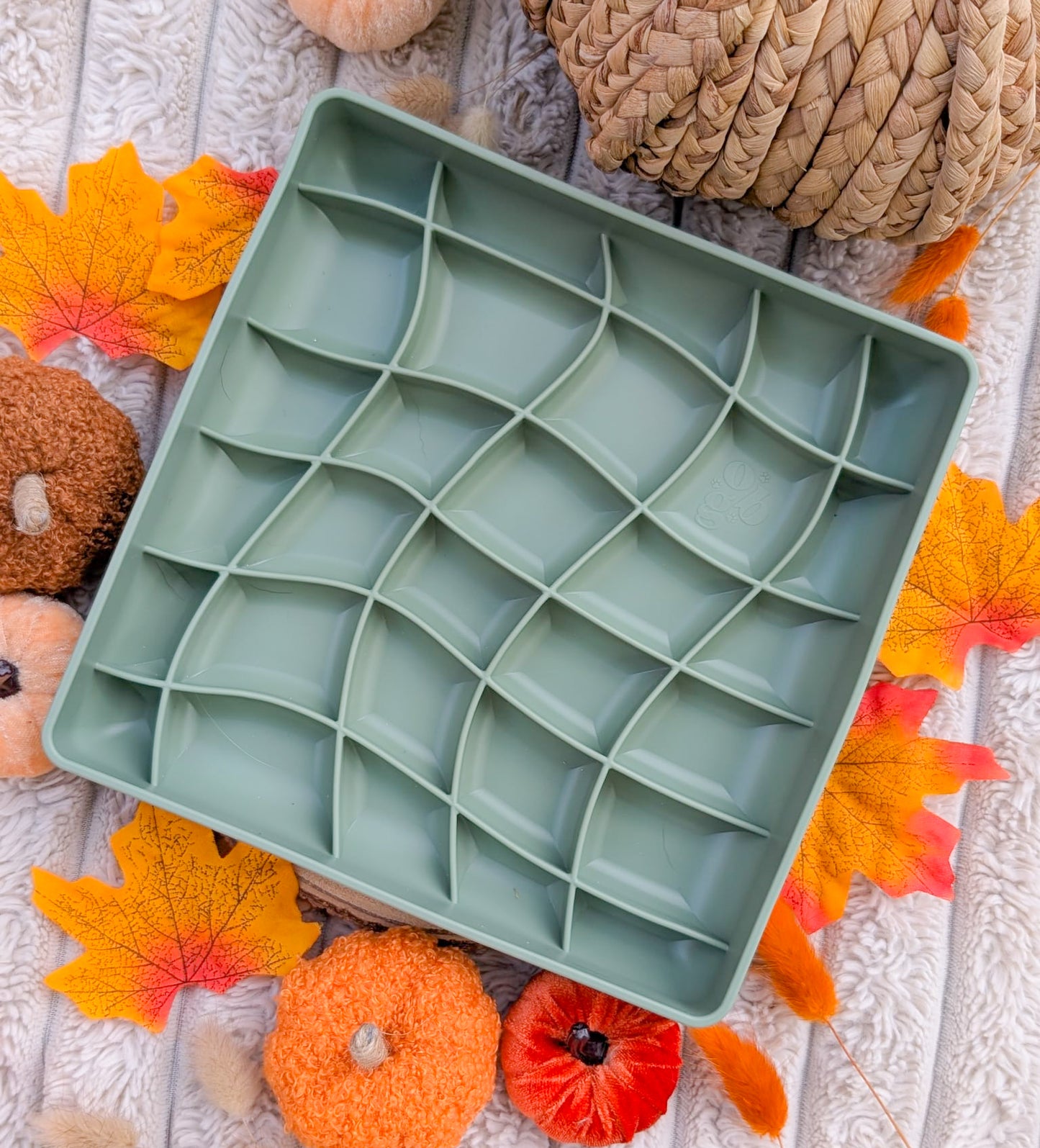 "Wavies" Enrichment Bowl | 5 Colours