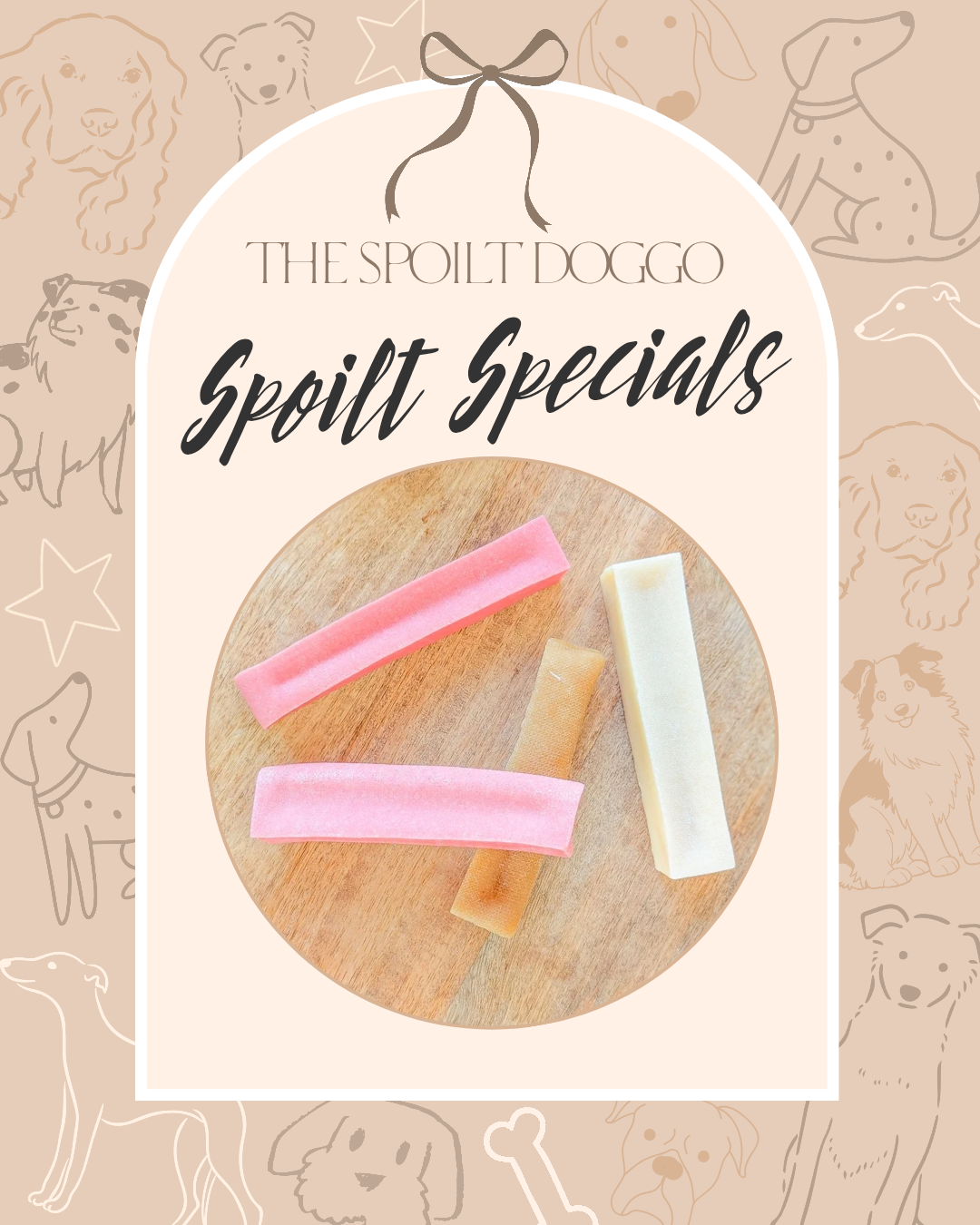 🐾✨ SPOILT SPECIALS ✨🐾