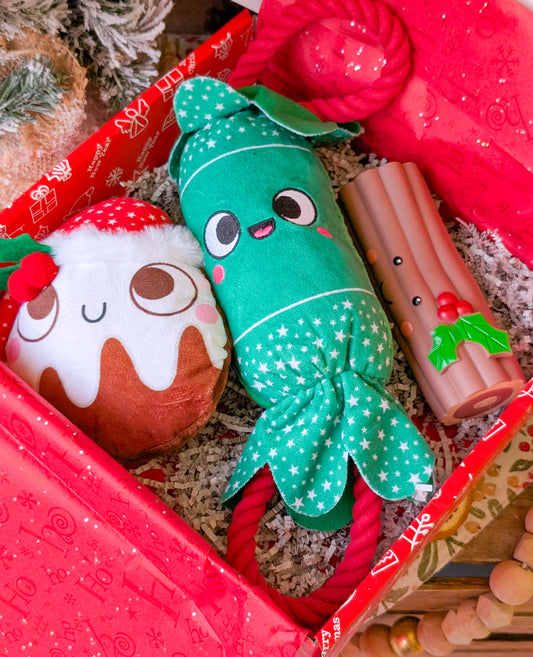 Christmas Toy Gift Box