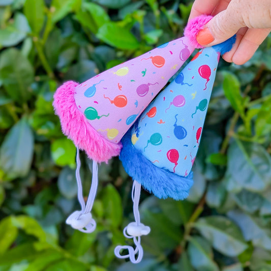 The Worthy Dog | Birthday Party Hat