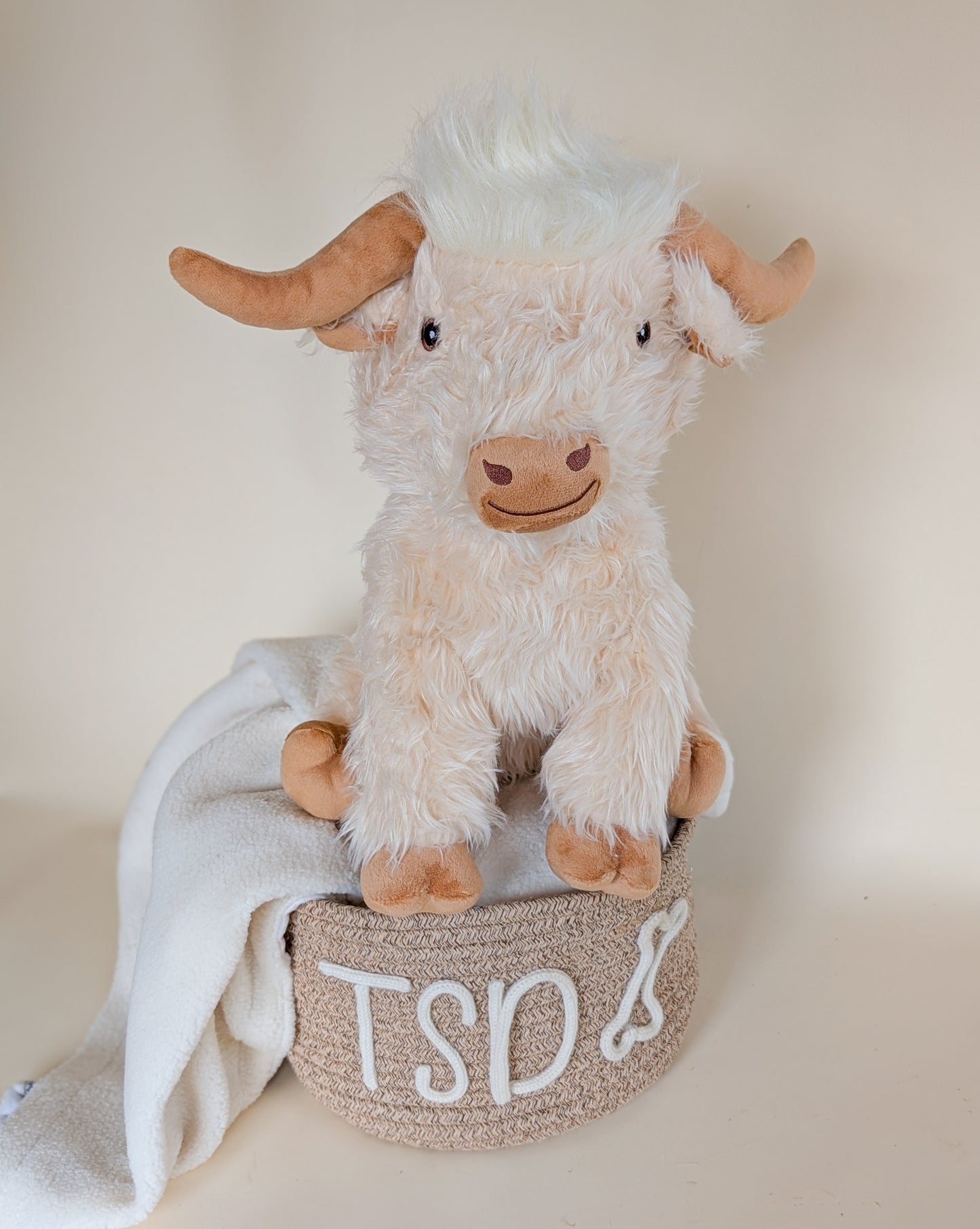 Jumbo Highland Cow