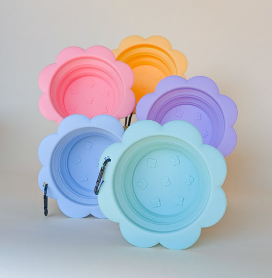 "Petal Pop" | Collapsible Flower Water Bowl