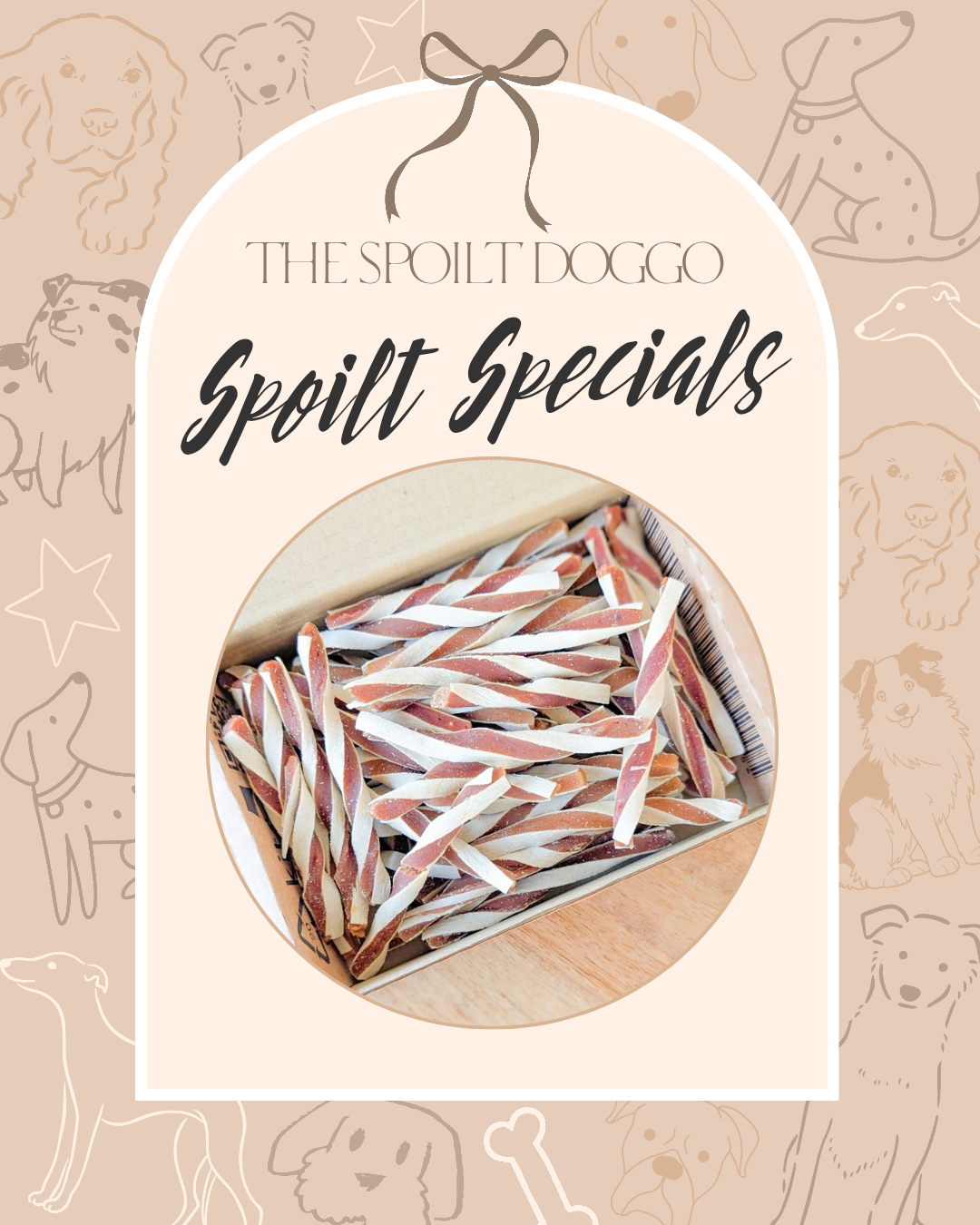 🐾✨ SPOILT SPECIALS ✨🐾