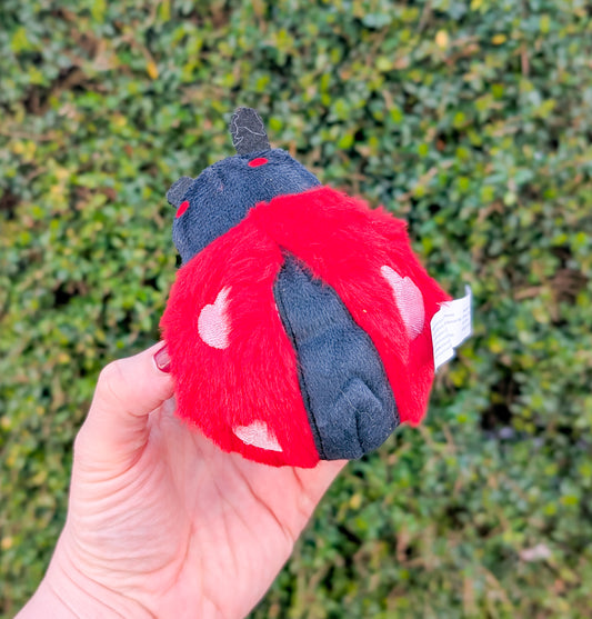 Hugsmart Ball Toy | Ladybird