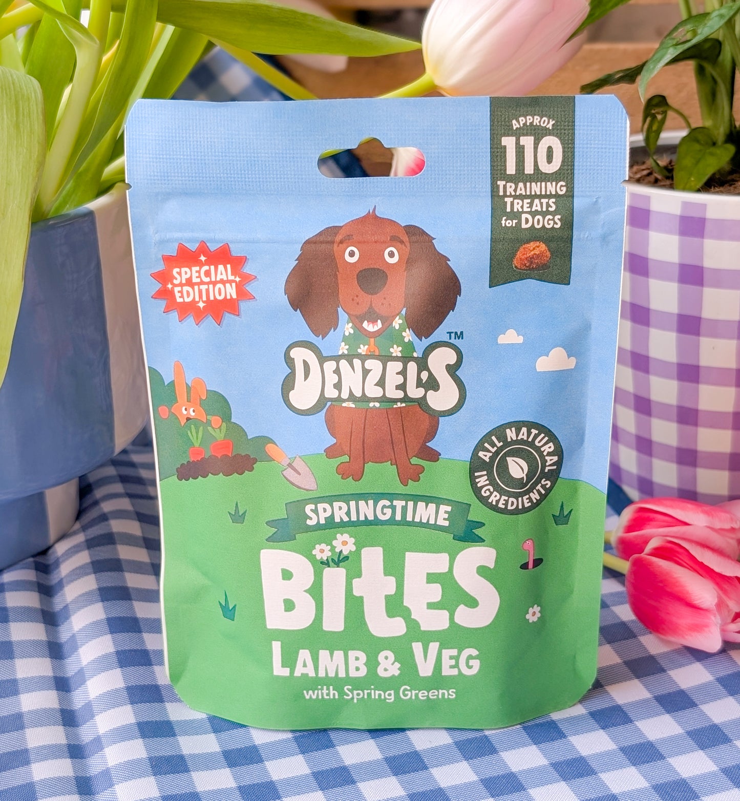 Denzel's Springtime Bites | Lamb & Veg