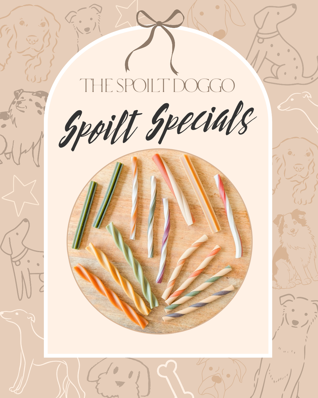 🐾✨ SPOILT SPECIALS ✨🐾