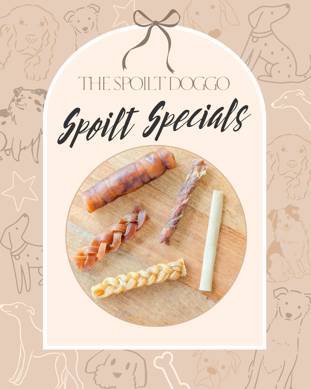 🐾✨ SPOILT SPECIALS ✨🐾
