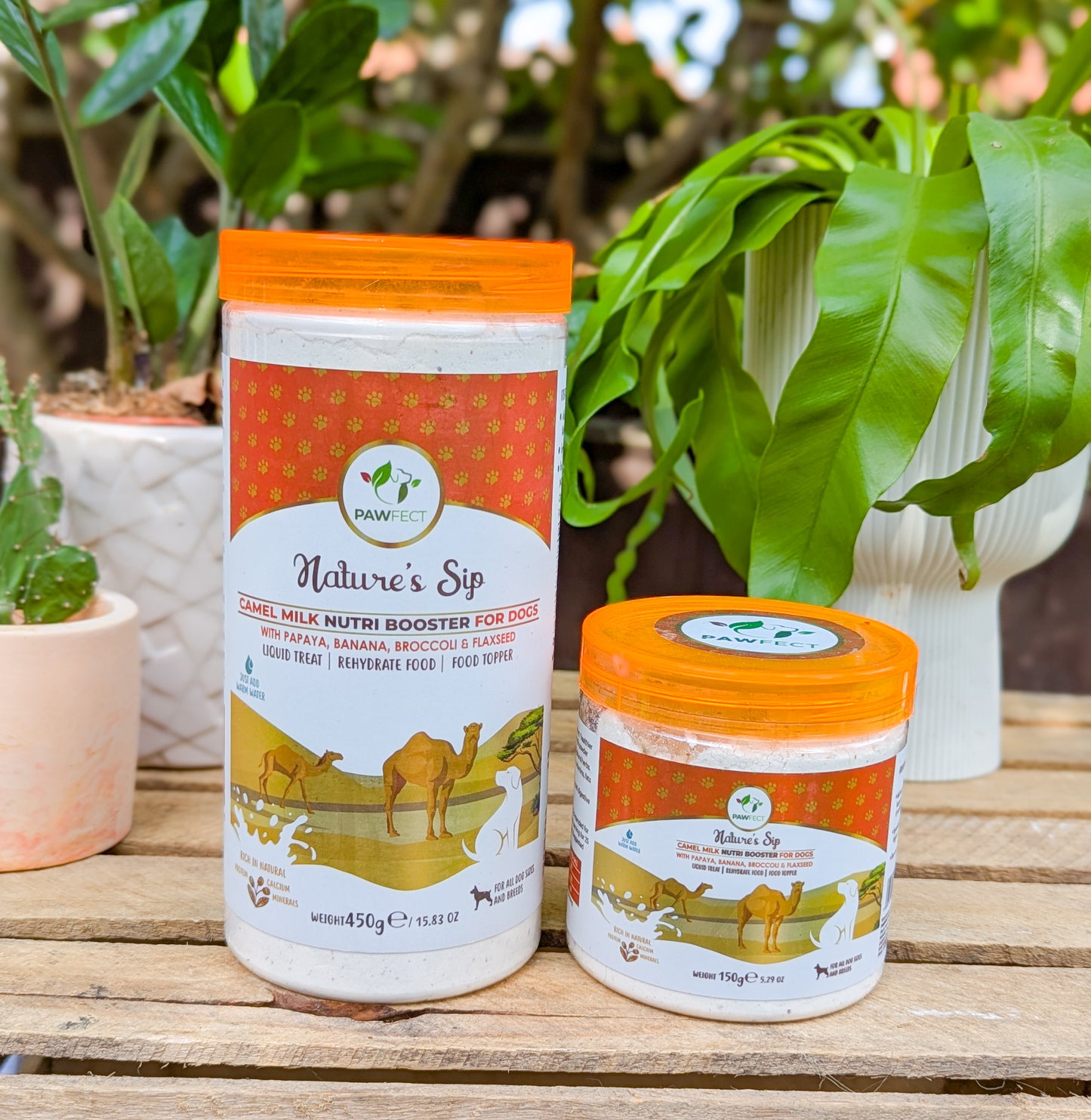 Pawfect Nature's Sip For Dogs | Camel Milk with Papaya, Banana, Broccoli & Flaxseed | 2 Sizes