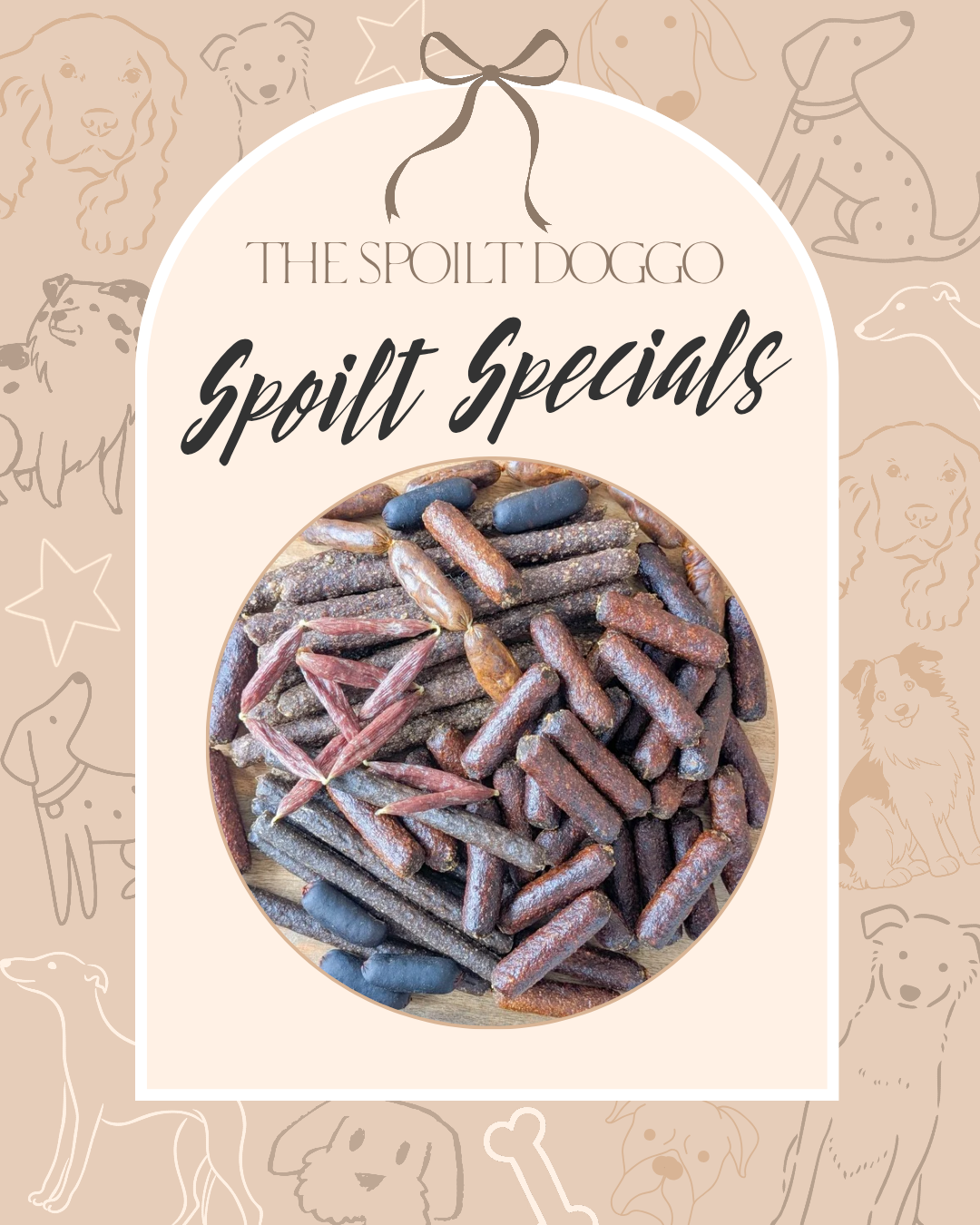 🐾✨ SPOILT SPECIALS ✨🐾