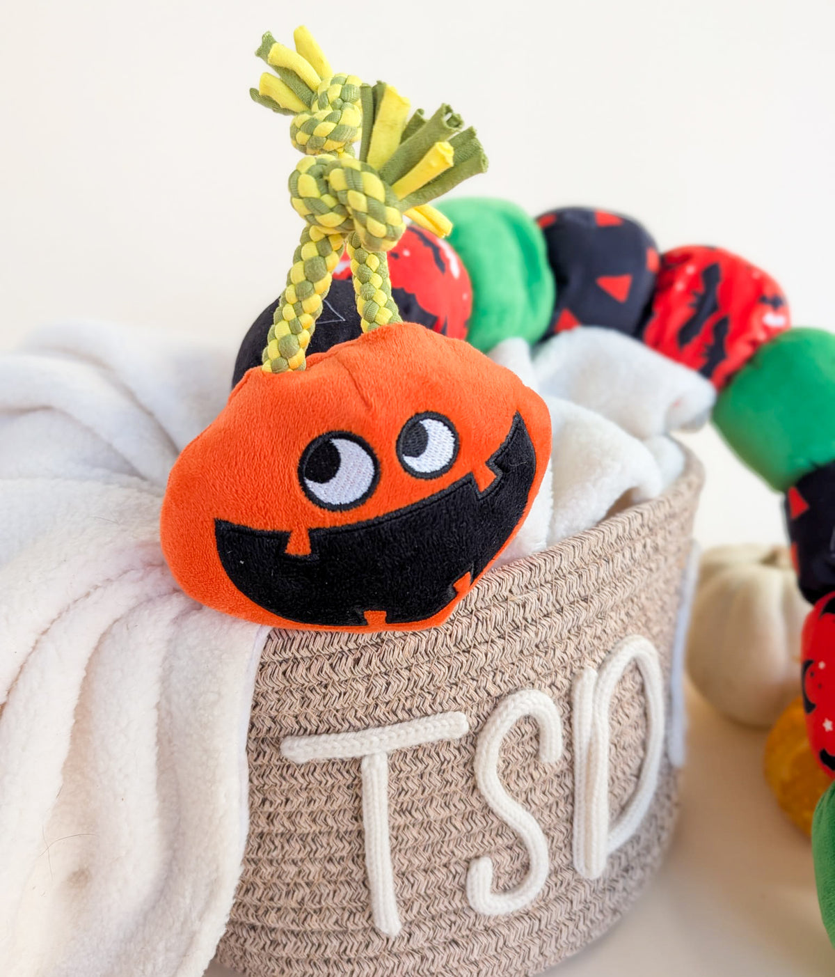 “Creepy Crawler” Caterpillar Plush Toy
