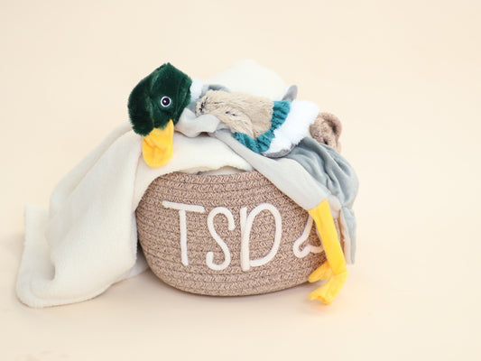 Pawise | Stuffless Duck